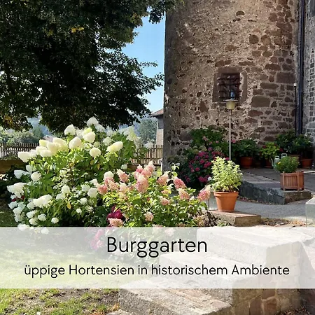 Daire Alte Foersterei - Altstadtwohnung Mit Stil & Aufzug - In Der Hinterburg Schlitz - Mit Garten, Parkplatz & E-Ladestation - Hunde Willkommen - Fulda, Bad Hersfeld, Alsfeld In 25 Km Entfernung *