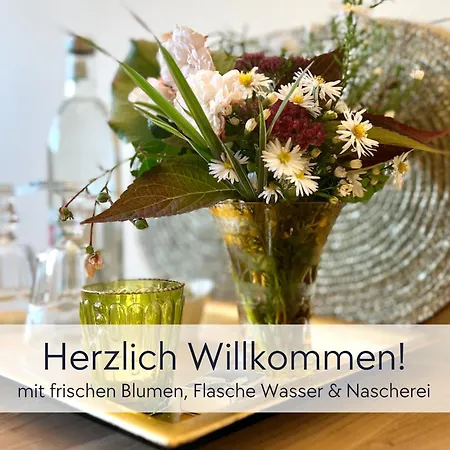Alte Foersterei - Altstadtwohnung Mit Stil & Aufzug - In Der Hinterburg Schlitz - Mit Garten, Parkplatz & E-Ladestation - Hunde Willkommen - Fulda, Bad Hersfeld, Alsfeld In 25 Km Entfernung