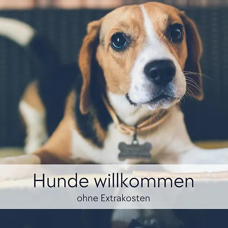 Alte Foersterei - Altstadtwohnung Mit Stil & Aufzug - In Der Hinterburg - Mit Garten, Parkplatz & E-ladestation - Hunde Willkommen - Fulda, Bad Hersfeld, Alsfeld In 25 Km Entfernung Apartmán