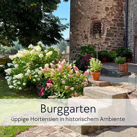아파트 Alte Foersterei - Altstadtwohnung Mit Stil & Aufzug - In Der Hinterburg - Mit Garten, Parkplatz & E-ladestation - Hunde Willkommen - Fulda, Bad Hersfeld, Alsfeld In 25 Km Entfernung 슐리츠
