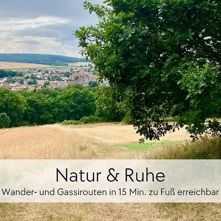 Alte Foersterei - Altstadtwohnung Mit Stil & Aufzug - In Der Hinterburg - Mit Garten, Parkplatz & E-ladestation - Hunde Willkommen - Fulda, Bad Hersfeld, Alsfeld In 25 Km Entfernung * 슐리츠