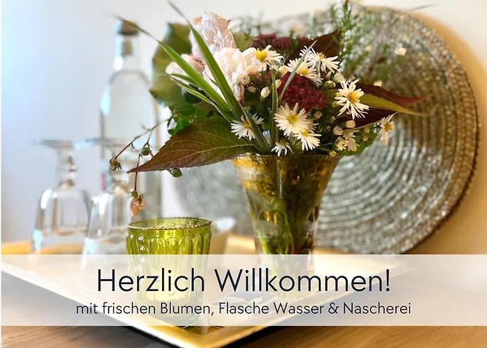 Alte Foersterei - Altstadtwohnung Mit Stil & Aufzug - In Der Hinterburg - Mit Garten, Parkplatz & E-ladestation - Hunde Willkommen - Fulda, Bad Hersfeld, Alsfeld In 25 Km Entfernung