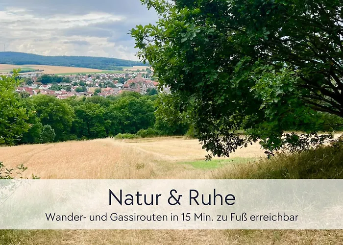 Alte Foersterei - Altstadtwohnung Mit Stil & Aufzug - In Der Hinterburg - Mit Garten, Parkplatz & E-ladestation - Hunde Willkommen - Fulda, Bad Hersfeld, Alsfeld In 25 Km Entfernung * Schlitz